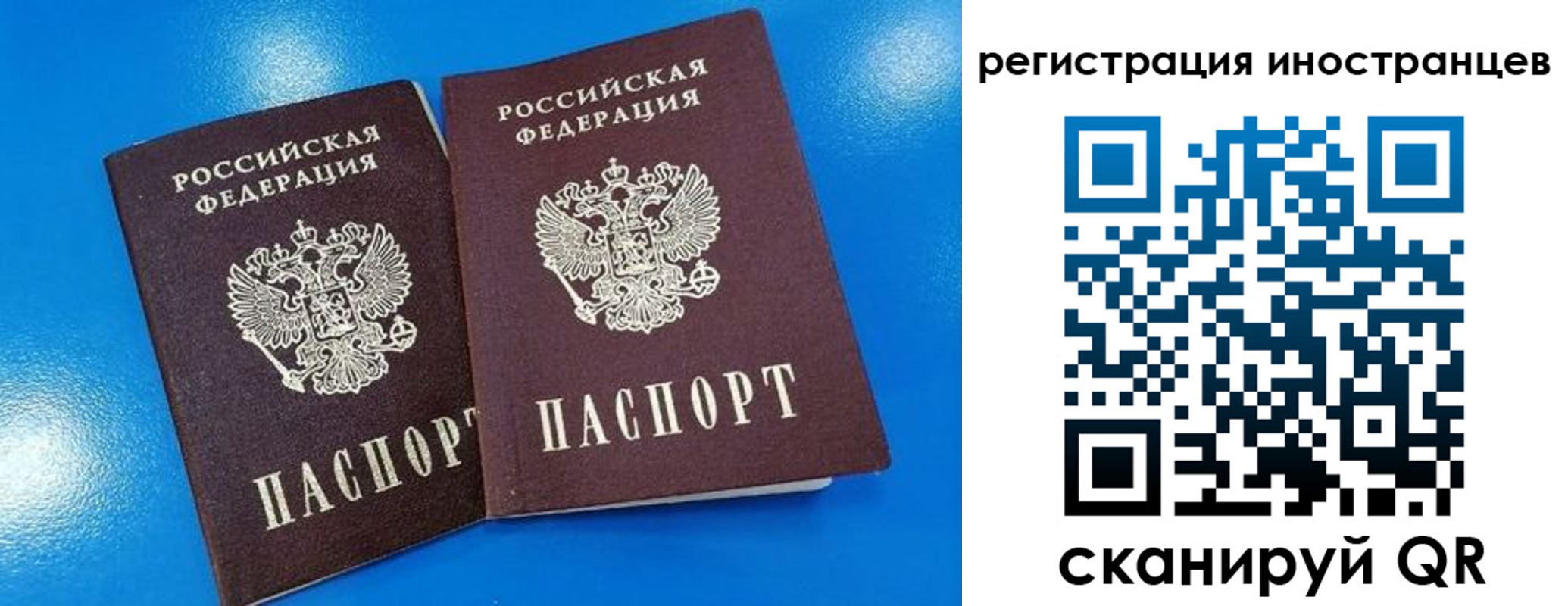 временная регистрация поиск в Смоленской области