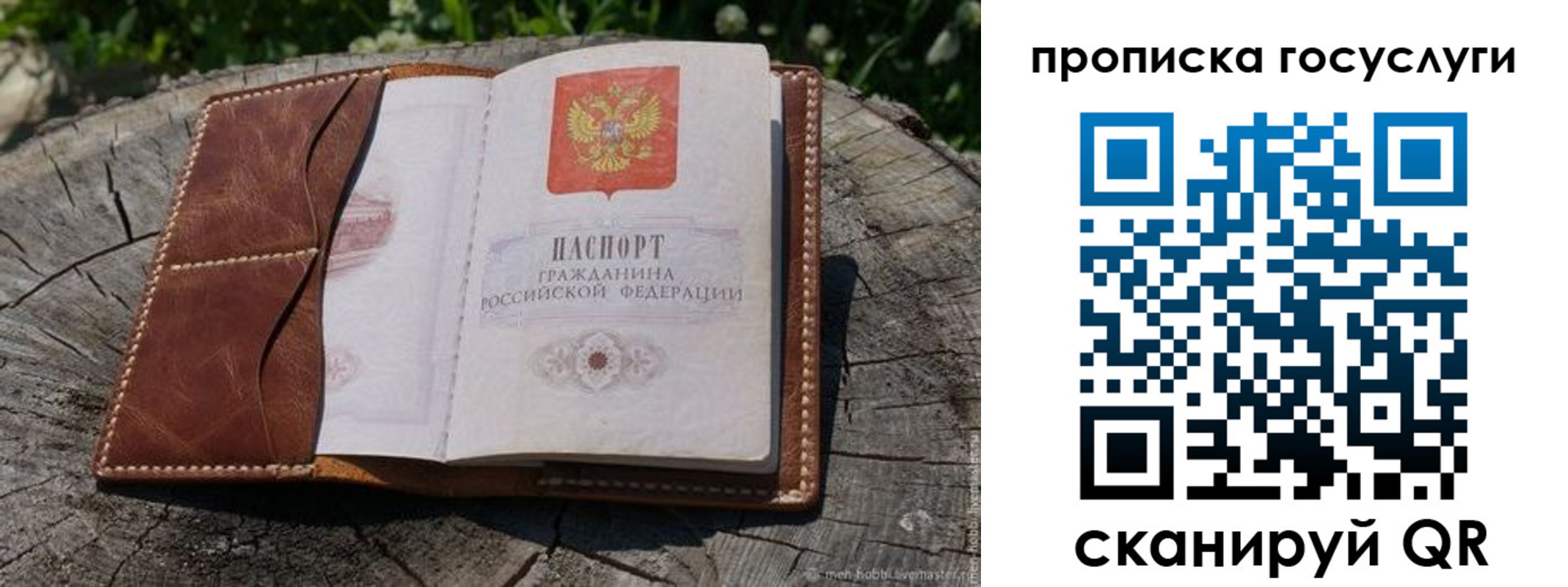 прописка для школы в Смоленской области